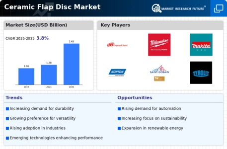 Ceramic Flap Disc Market Infographic