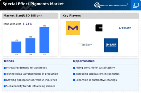 Special Effect Pigments Market
 Infographic