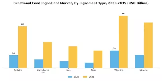 Functional Food Ingredient Market Segment Image 1