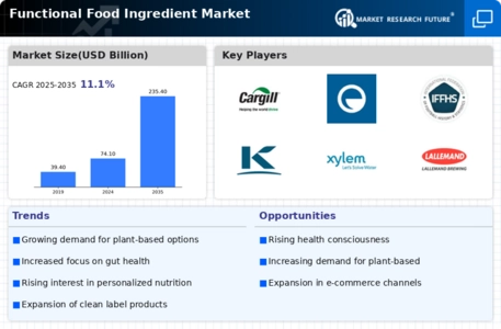 Functional Food Ingredient Market Infographic
