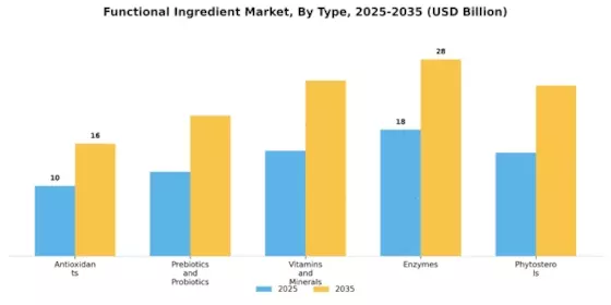 Functional Ingredient Market Segment Image 0