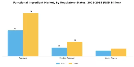 Functional Ingredient Market Segment Image 3