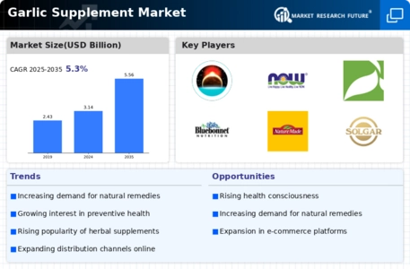 Garlic Supplement Market Infographic