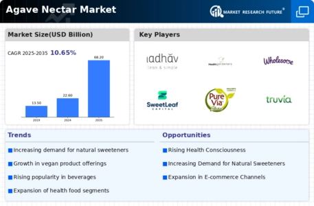 Agave Nectar Market Infographic