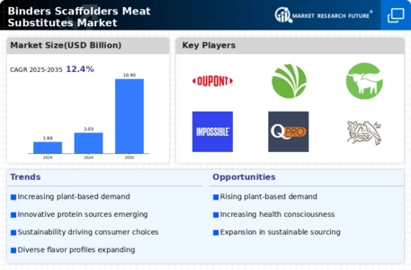 Binders Scaffolders Meat Substitutes Market Infographic