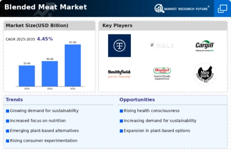 Blended Meat Market Infographic