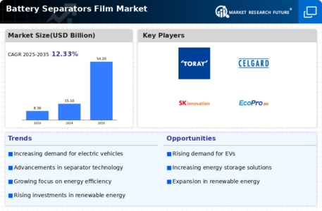 Battery Separators Film Market Infographic