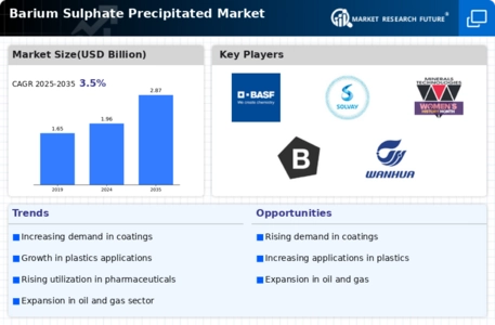 Barium Sulphate Precipitated Market Infographic
