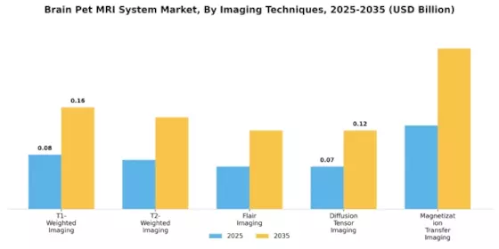 Brain Pet MRI System Market Segment Image 1