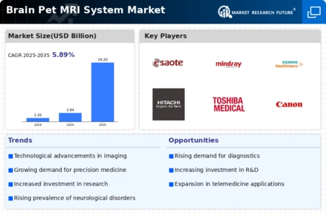 Brain Pet MRI System Market Infographic