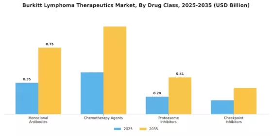Burkitt Lymphoma Therapeutics Market Segment Image 0