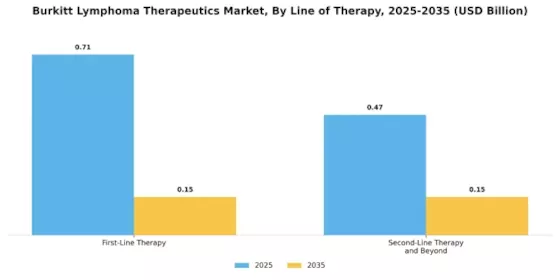 Burkitt Lymphoma Therapeutics Market Segment Image 1