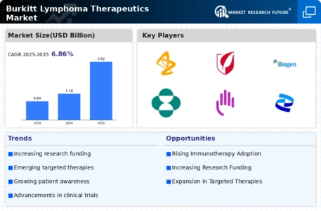 Burkitt Lymphoma Therapeutics Market Infographic