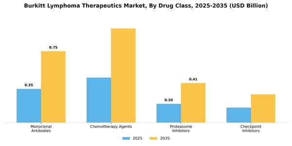 Burkitt Lymphoma Therapeutics Market Segment Image 0
