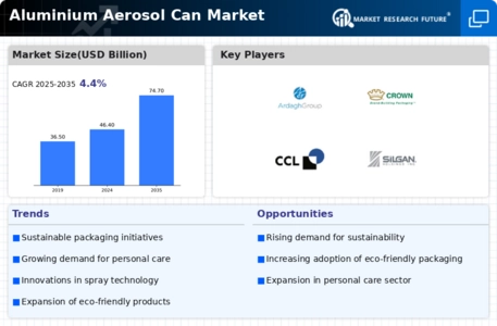Aluminium Aerosol Can Market Infographic