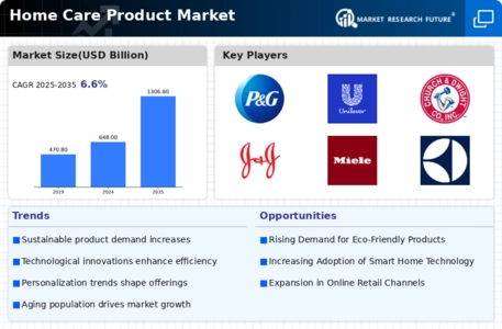 Home Care Product Market Infographic