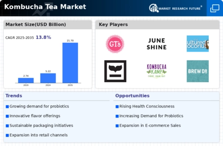 Kombucha Tea Market Infographic