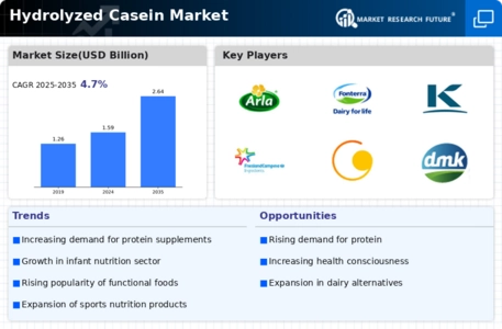 Hydrolyzed Casein Market Infographic