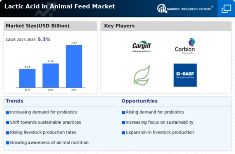 Lactic Acid In Animal Feed Market Infographic