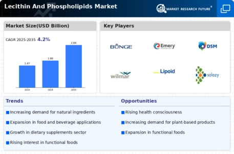 Lecithin Phospholipids Market Infographic