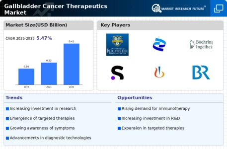 Gallbladder Cancer Therapeutics Market Infographic