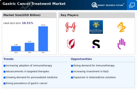 Gastric Cancer Treatment Market Infographic