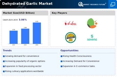 Dehydrated Garlic Market  Infographic