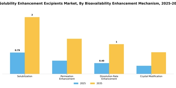 Polymer Based Solubility Enhancement Excipients Market
 Segment Image 1