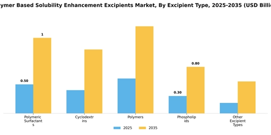 Polymer Based Solubility Enhancement Excipients Market
 Segment Image 2