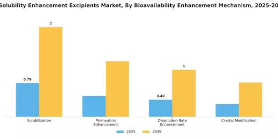 Polymer Based Solubility Enhancement Excipients Market
 Segment Image 1