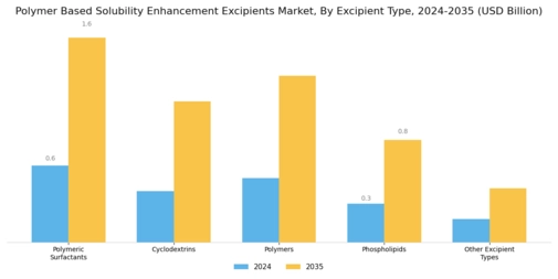 Polymer Based Solubility Enhancement Excipients Market
 Segment Image 0
