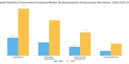 Polymer Based Solubility Enhancement Excipients Market
 Segment Image 1