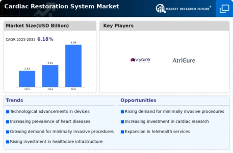 Cardiac Restoration System Market Infographic