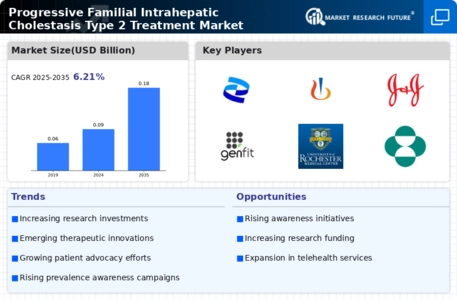 Progressive Familial Intrahepatic Cholestasis Type 2 Treatment Market Infographic