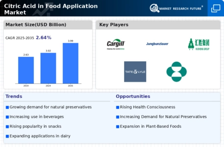 Citric Acid in Food Application Market Infographic