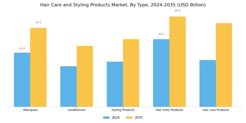 Hair Care Styling Products Market Segment Image 0