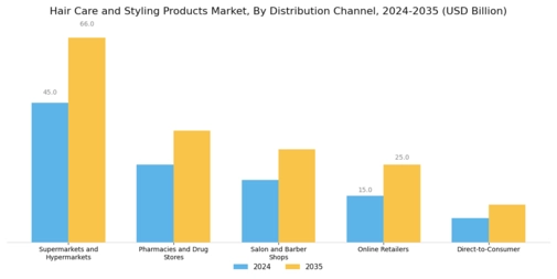 Hair Care Styling Products Market Segment Image 1