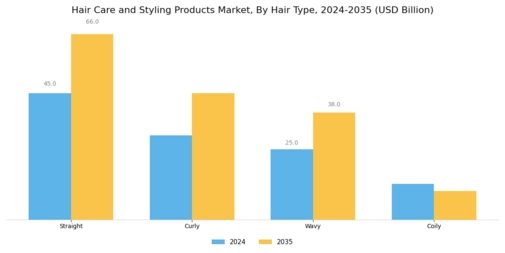 Hair Care Styling Products Market Segment Image 4