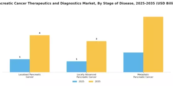 Pancreatic Cancer Therapeutics And Diagnostics Market Segment Image 2