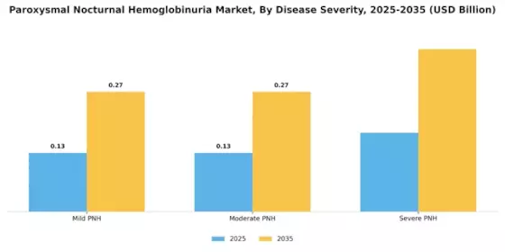 Paroxysmal Nocturnal Hemoglobinuria Market Segment Image 1