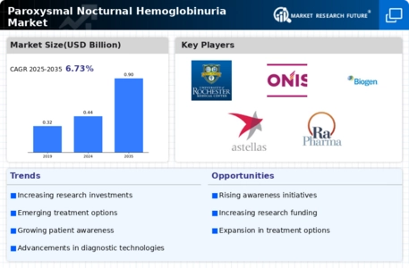 Paroxysmal Nocturnal Hemoglobinuria Market Infographic