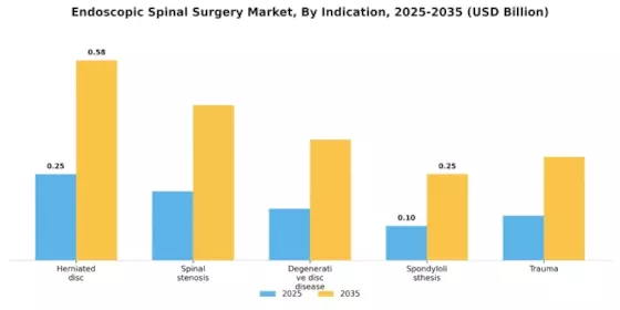 Endoscopic Spinal Surgery Market Segment Image 1