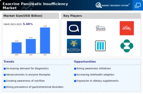 Exocrine Pancreatic Insufficiency Market Infographic