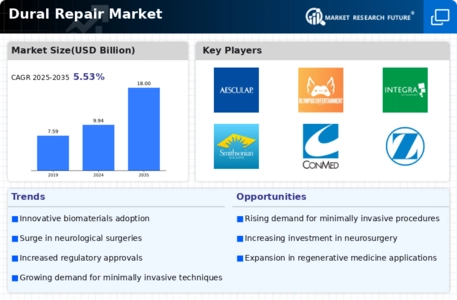 Dural Repair Market
 Infographic