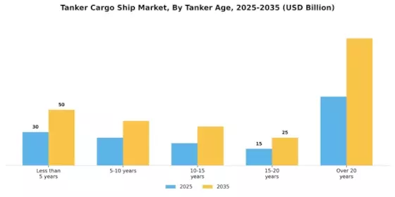 Tanker Cargo Ship Market Segment Image 4