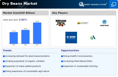 Dry Beans Market Infographic