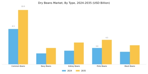 Dry Beans Market Segment Image 0