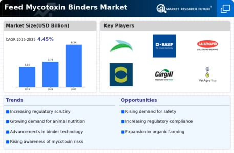 Feed Mycotoxin Binders Market  Infographic