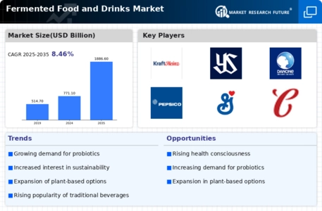 Fermented Food And Drinks Market Infographic