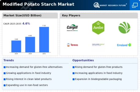 Modified Potato Starch Market Infographic